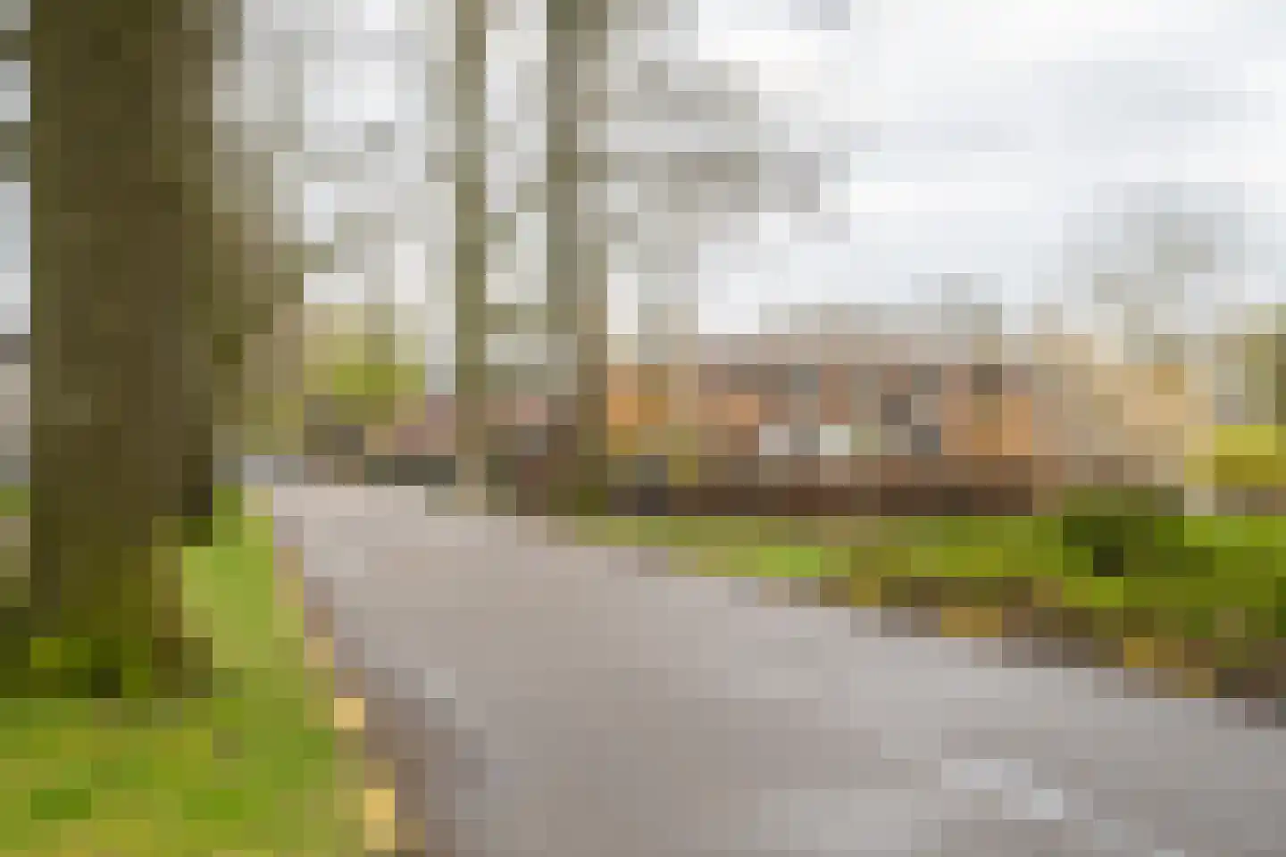 Frans Halsstraat 25 Oisterwijk thumbnail 35