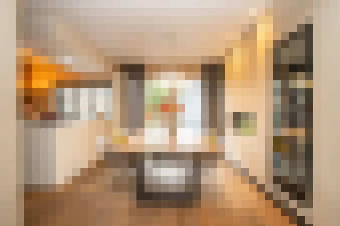 Frans Halsstraat 25 Oisterwijk thumbnail 8