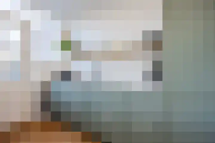 Frans Halsstraat 25 Zoetermeer thumbnail 16