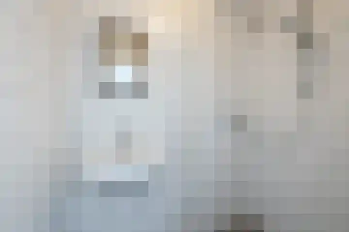 Frans Halsstraat 25 Zoetermeer thumbnail 33