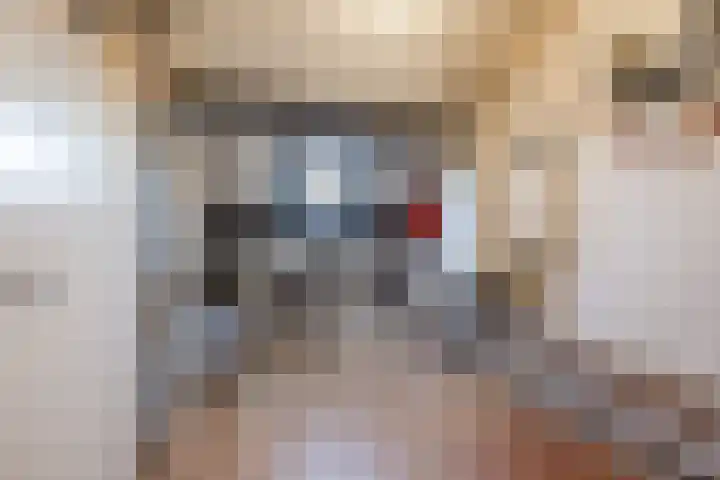 Frans Halsstraat 25 Zoetermeer thumbnail 36