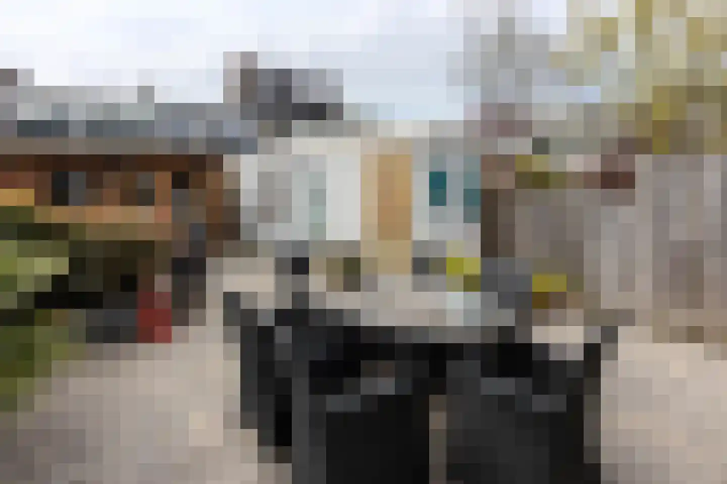 Frans Halsstraat 27 Capelle aan den IJssel thumbnail 19