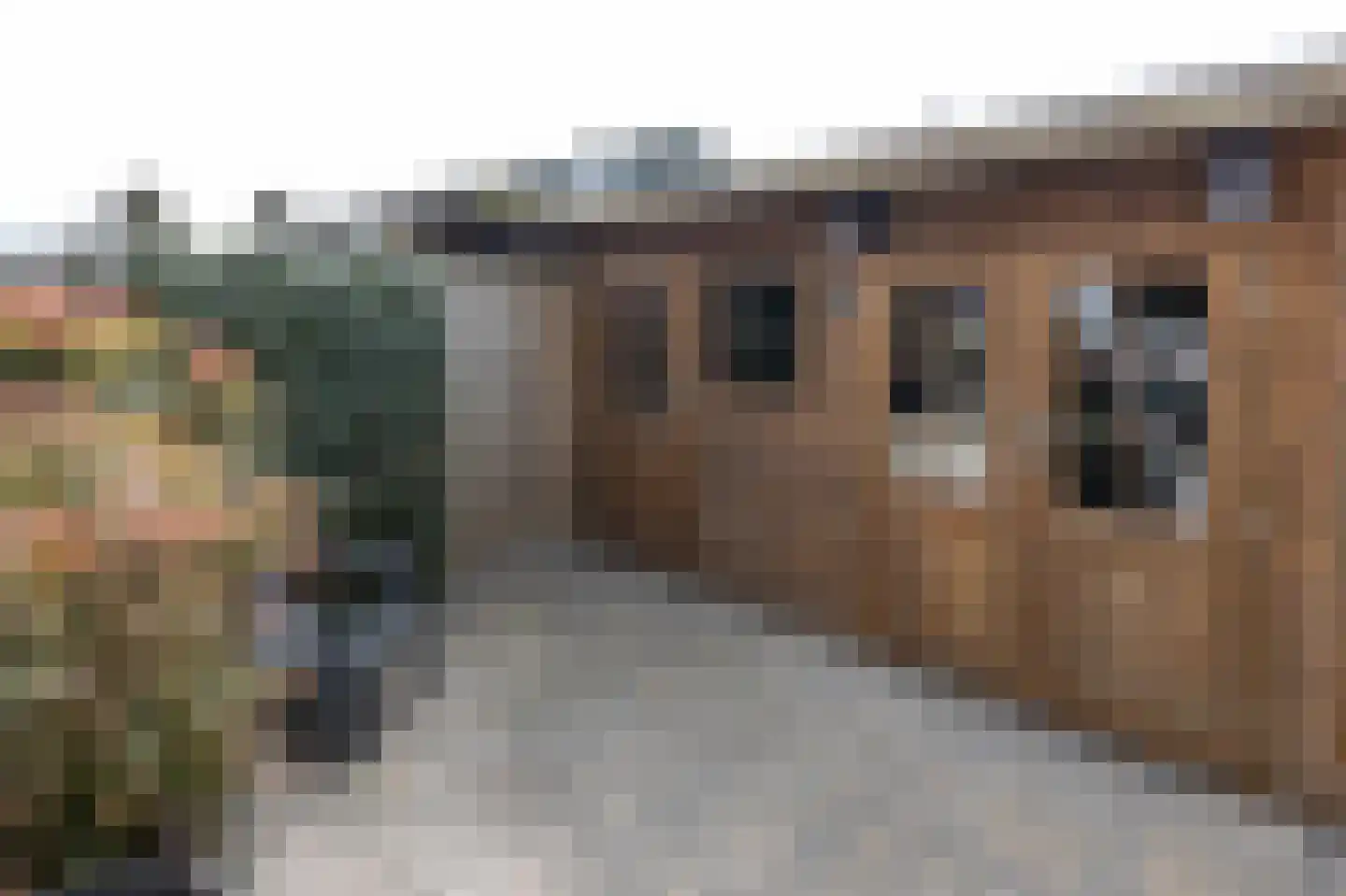 Frans Halsstraat 27 Capelle aan den IJssel thumbnail 21