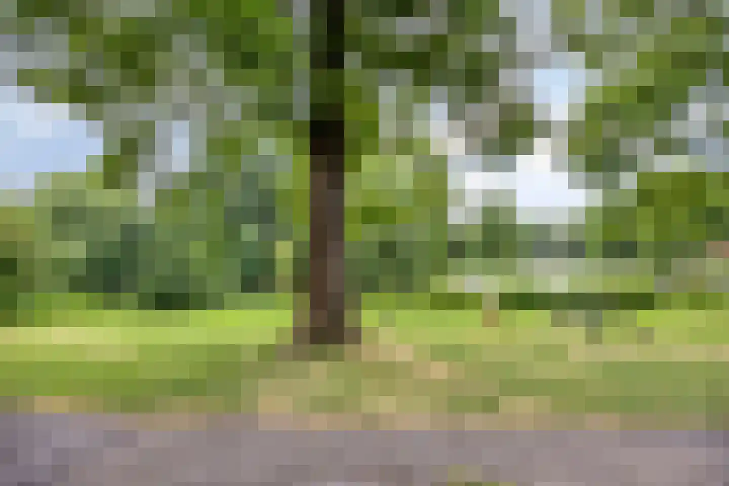 Frans Halsstraat 29 Lisse thumbnail 38