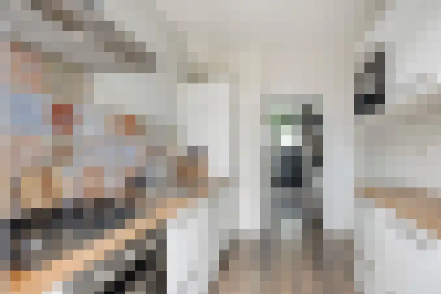 Frans Halsstraat 29 Lisse thumbnail 9