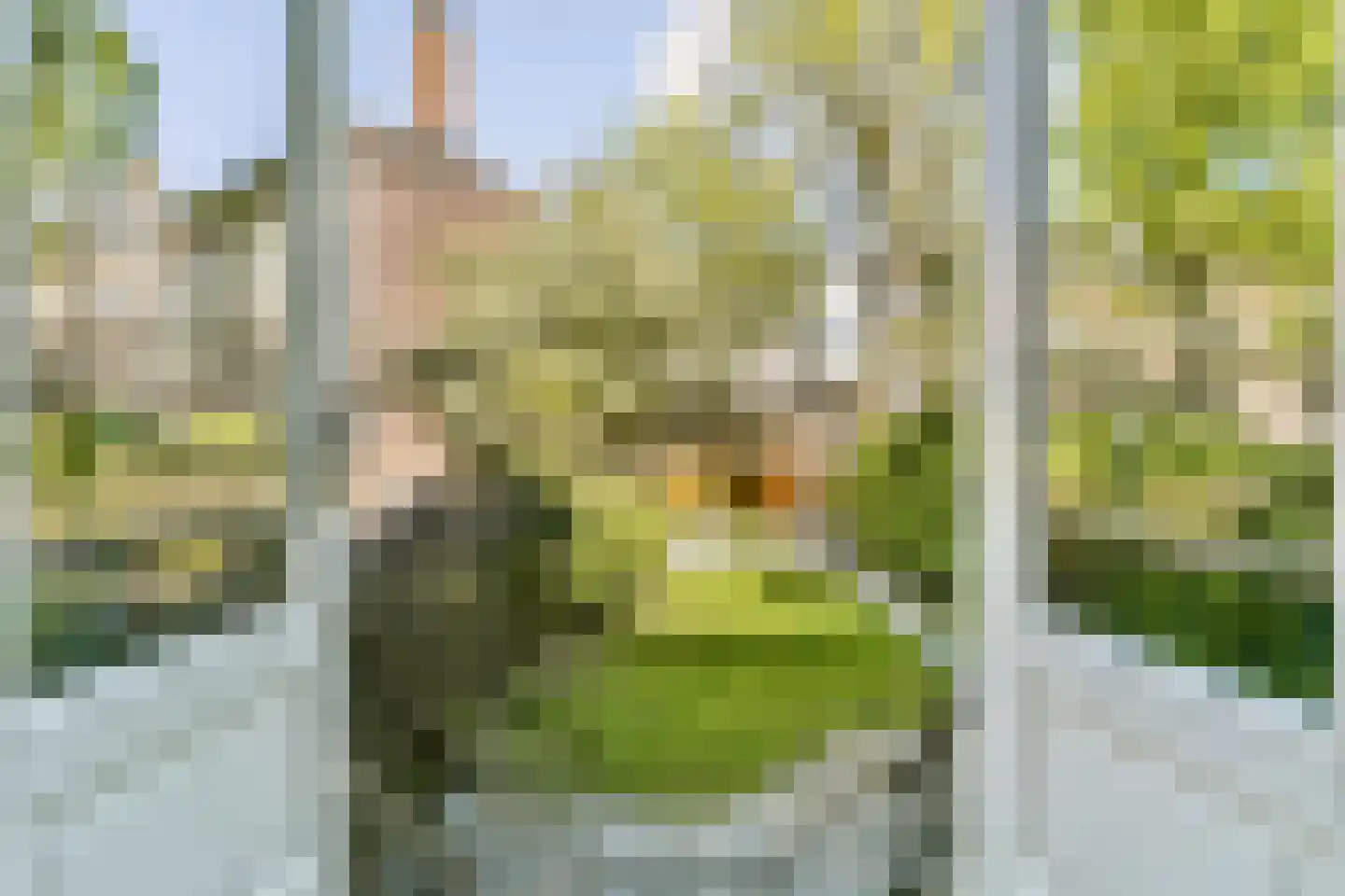 Frans Halsstraat 3 Haarlem thumbnail 17