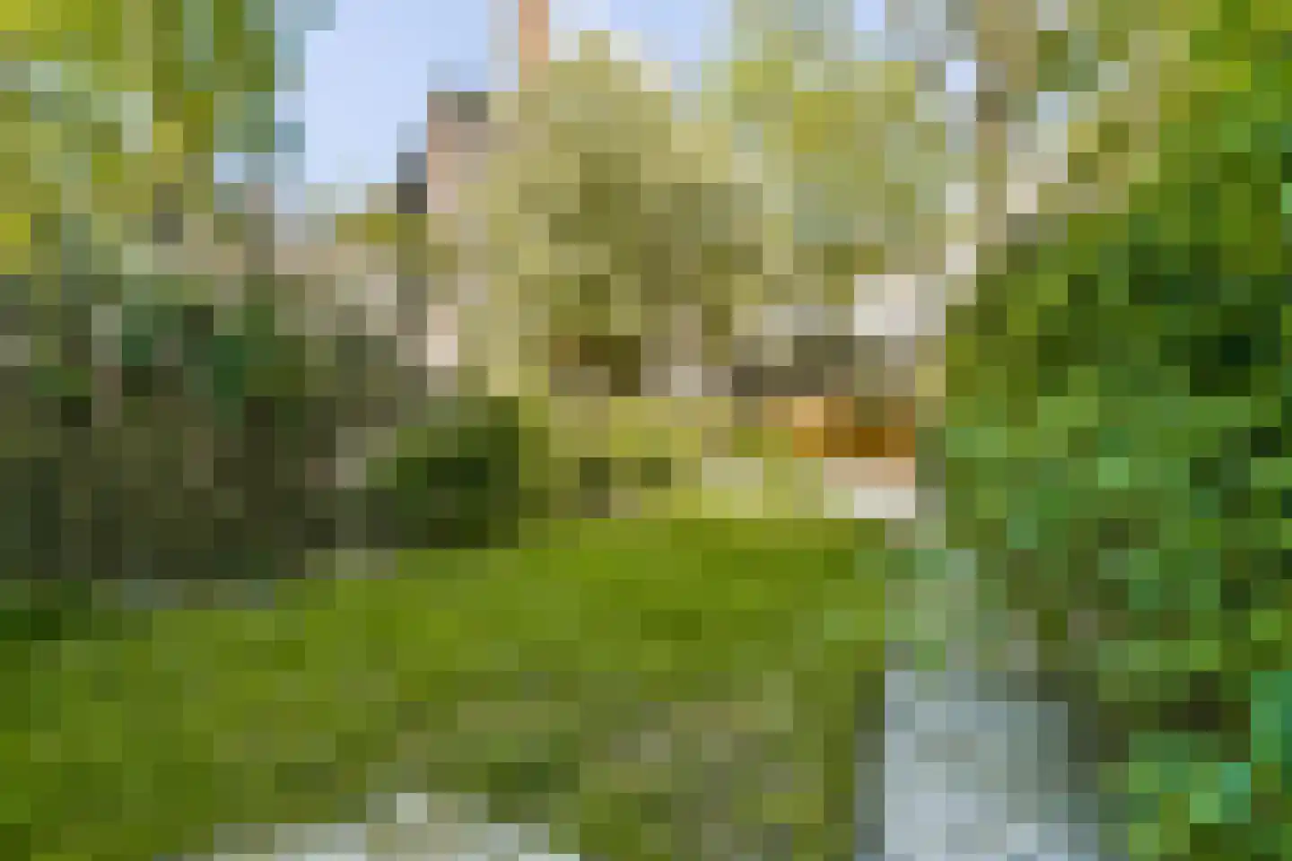 Frans Halsstraat 3 Haarlem thumbnail 19