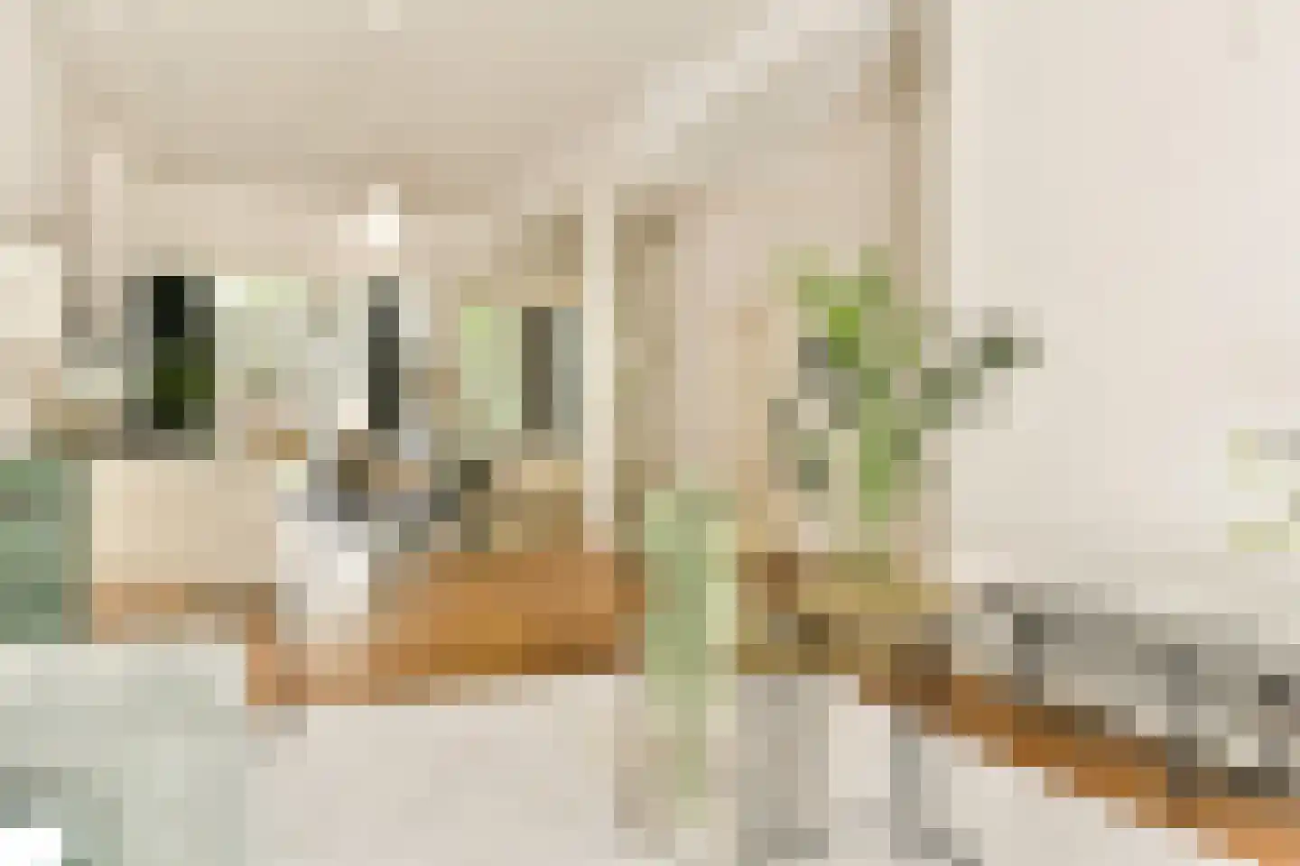 Frans Halsstraat 3 Haarlem thumbnail 5
