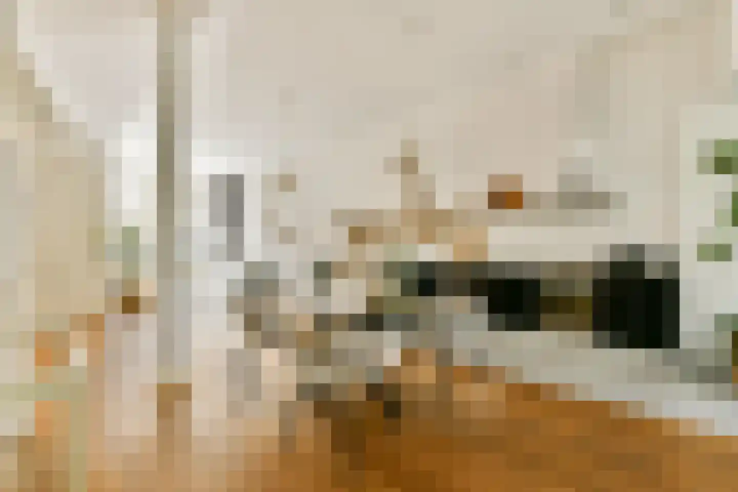 Frans Halsstraat 3 Haarlem thumbnail 7