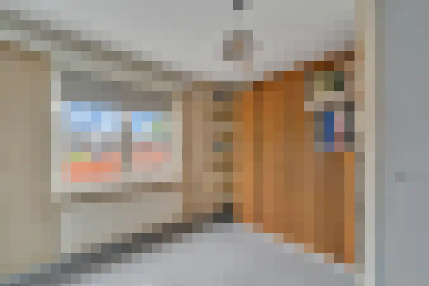 Frans Halsstraat 3 Nijverdal thumbnail 16