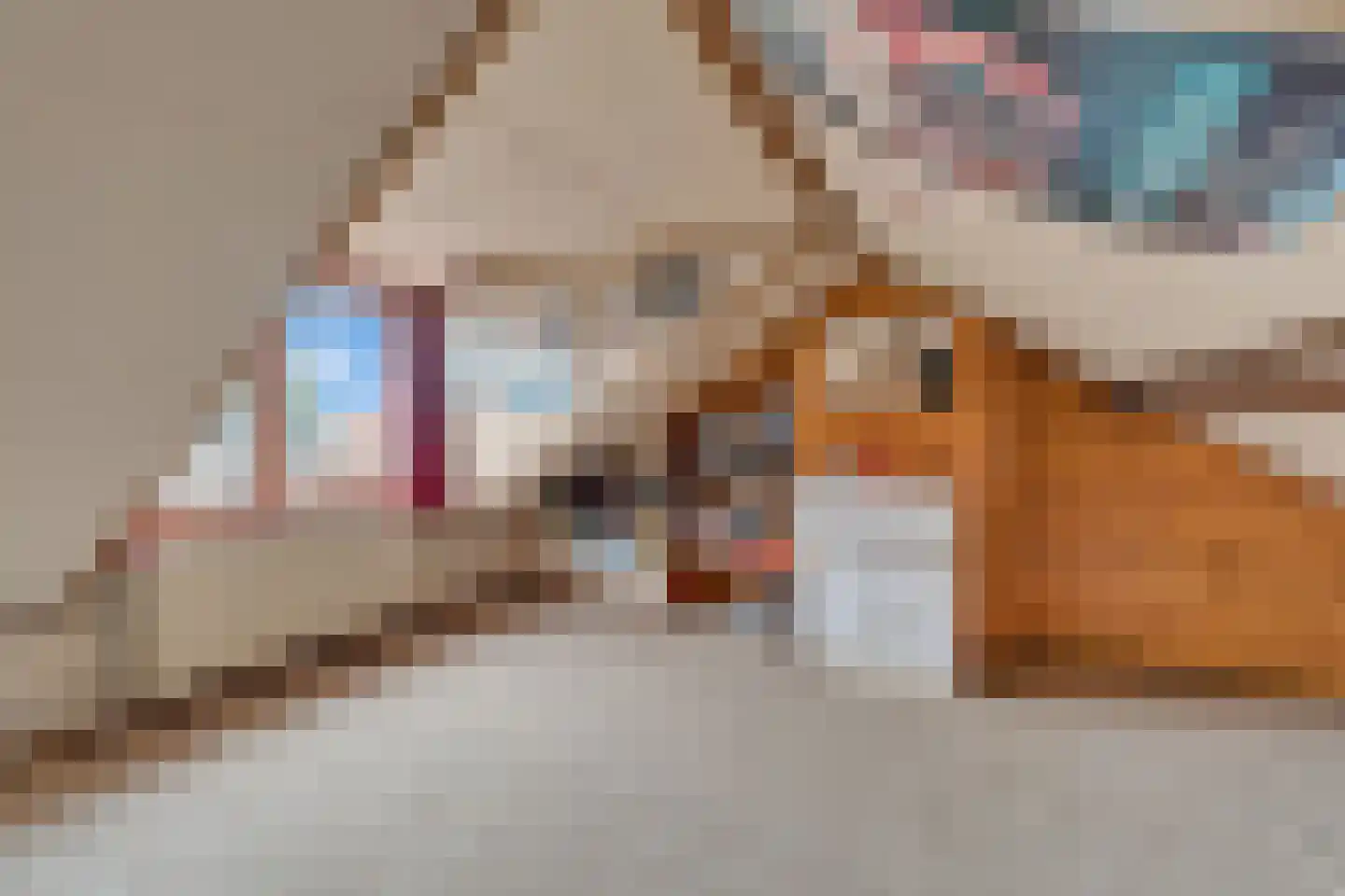 Frans Halsstraat 3 Nijverdal thumbnail 21