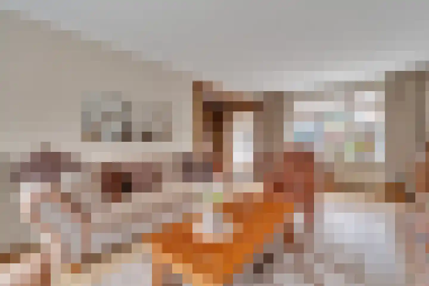 Frans Halsstraat 3 Nijverdal thumbnail 4