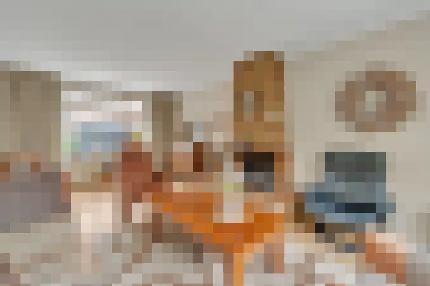 Frans Halsstraat 3 Nijverdal thumbnail 7