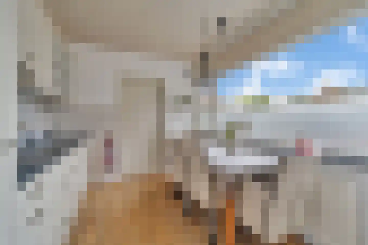 Frans Halsstraat 3 Nijverdal thumbnail 8
