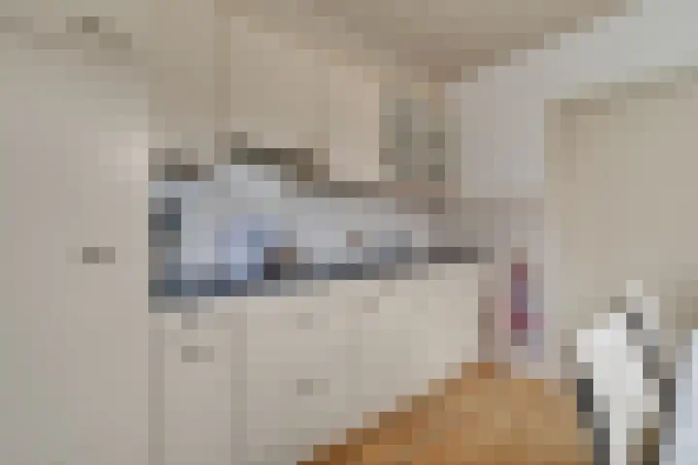 Frans Halsstraat 3 Nijverdal thumbnail 9