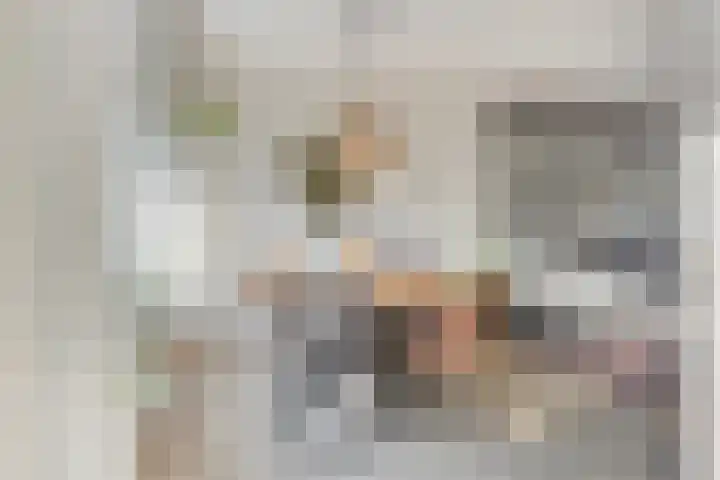 Frans Halsstraat 3 Son en Breugel thumbnail 10
