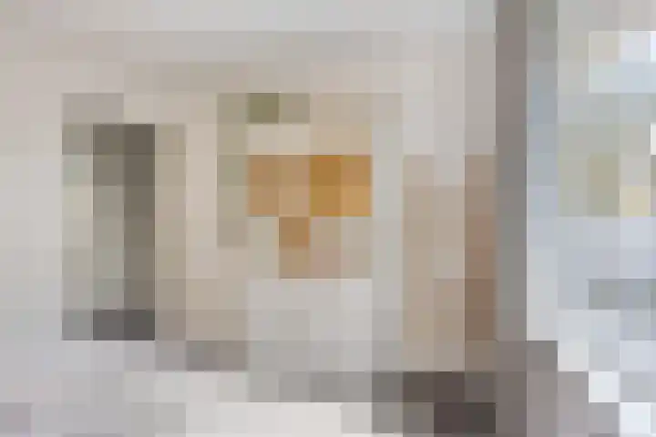 Frans Halsstraat 3 Son en Breugel thumbnail 15