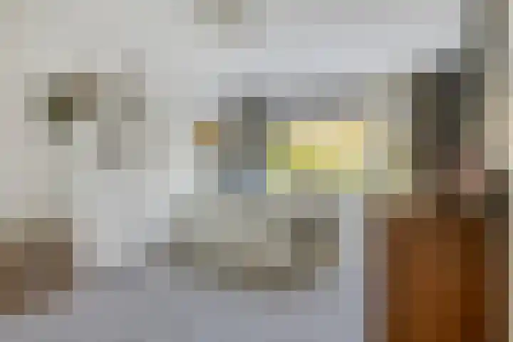 Frans Halsstraat 3 Son en Breugel thumbnail 17
