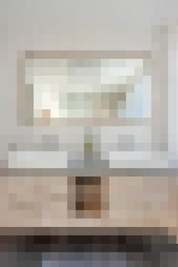 Frans Halsstraat 3 Son en Breugel thumbnail 19