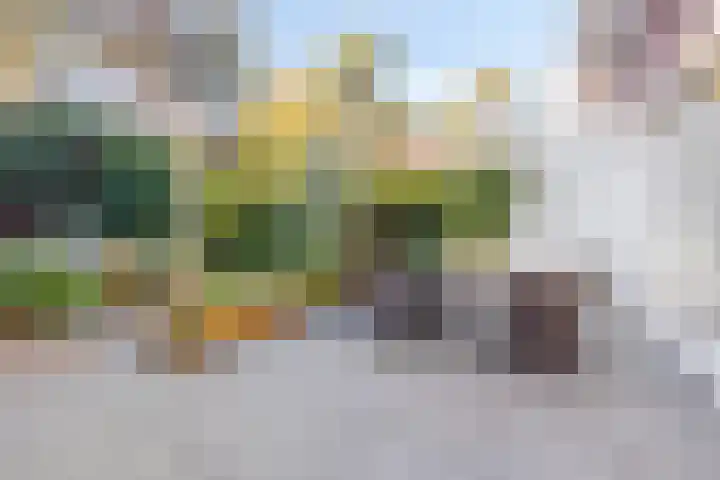 Frans Halsstraat 3 Son en Breugel thumbnail 22