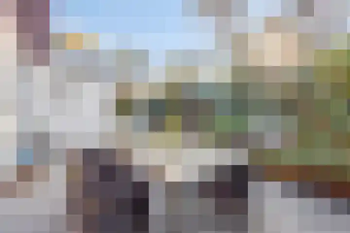 Frans Halsstraat 3 Son en Breugel thumbnail 23