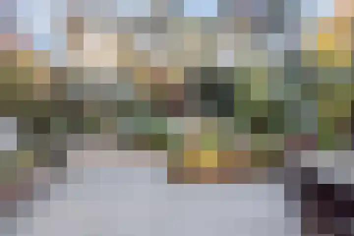 Frans Halsstraat 3 Son en Breugel thumbnail 24