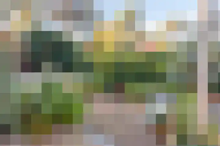 Frans Halsstraat 3 Son en Breugel thumbnail 25