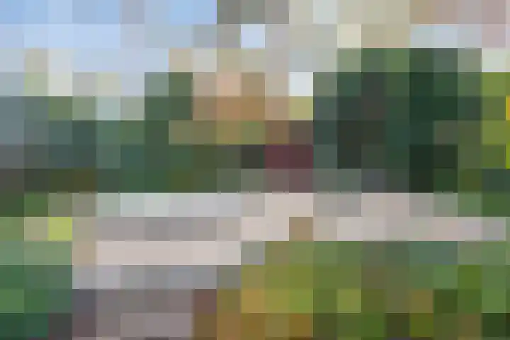 Frans Halsstraat 3 Son en Breugel thumbnail 26