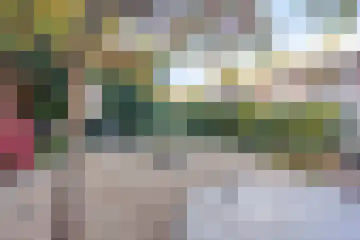 Frans Halsstraat 3 Son en Breugel thumbnail 27