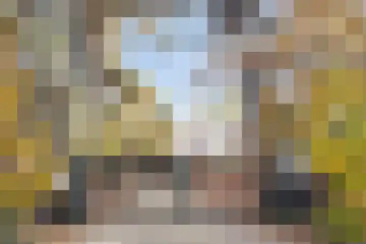 Frans Halsstraat 3 Son en Breugel thumbnail 4