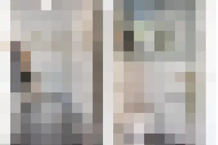 Frans Halsstraat 3 Son en Breugel thumbnail 5