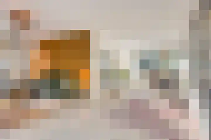 Frans Halsstraat 3 Son en Breugel thumbnail 6