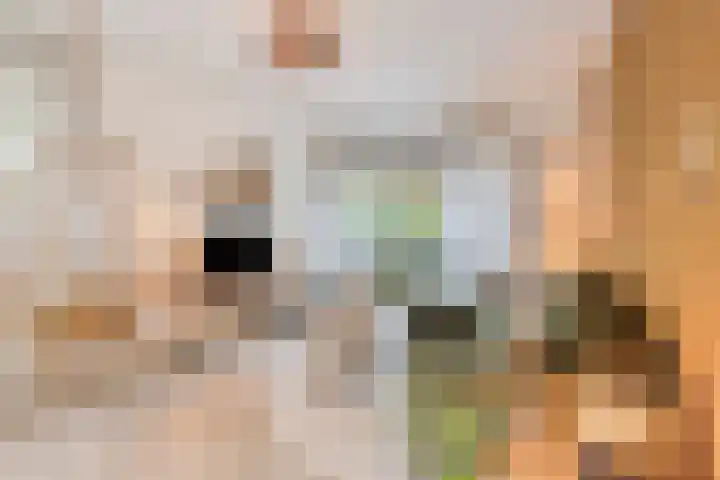 Frans Halsstraat 3 Son en Breugel thumbnail 7