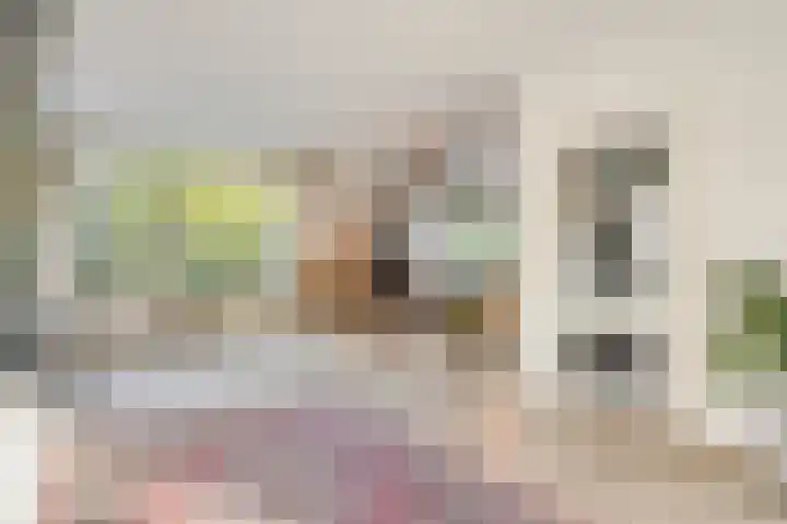 Frans Halsstraat 3 Son en Breugel thumbnail 8