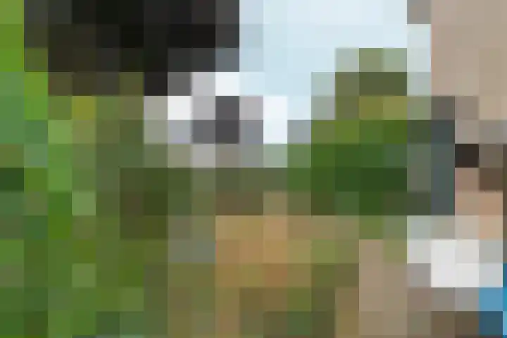 Frans Halsstraat 30 Eerbeek thumbnail 38