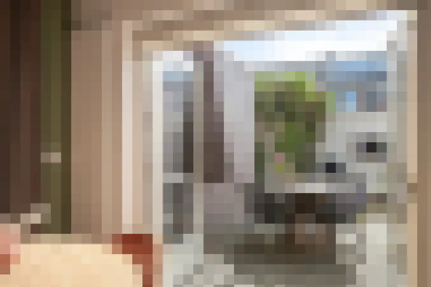 Frans Halsstraat 31 Alkmaar thumbnail 14