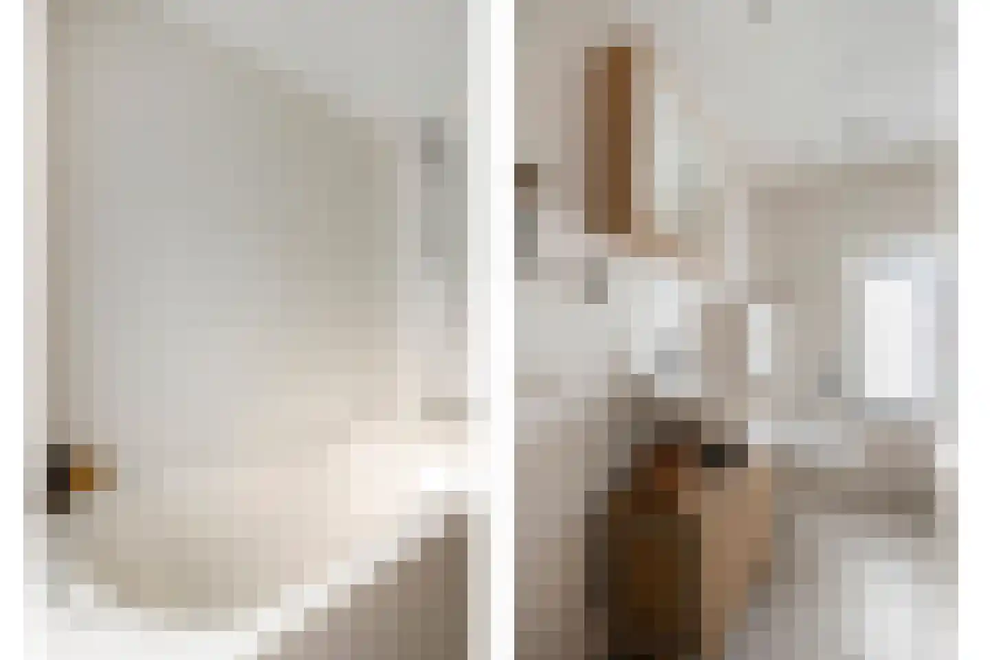 Frans Halsstraat 31 Alkmaar thumbnail 25