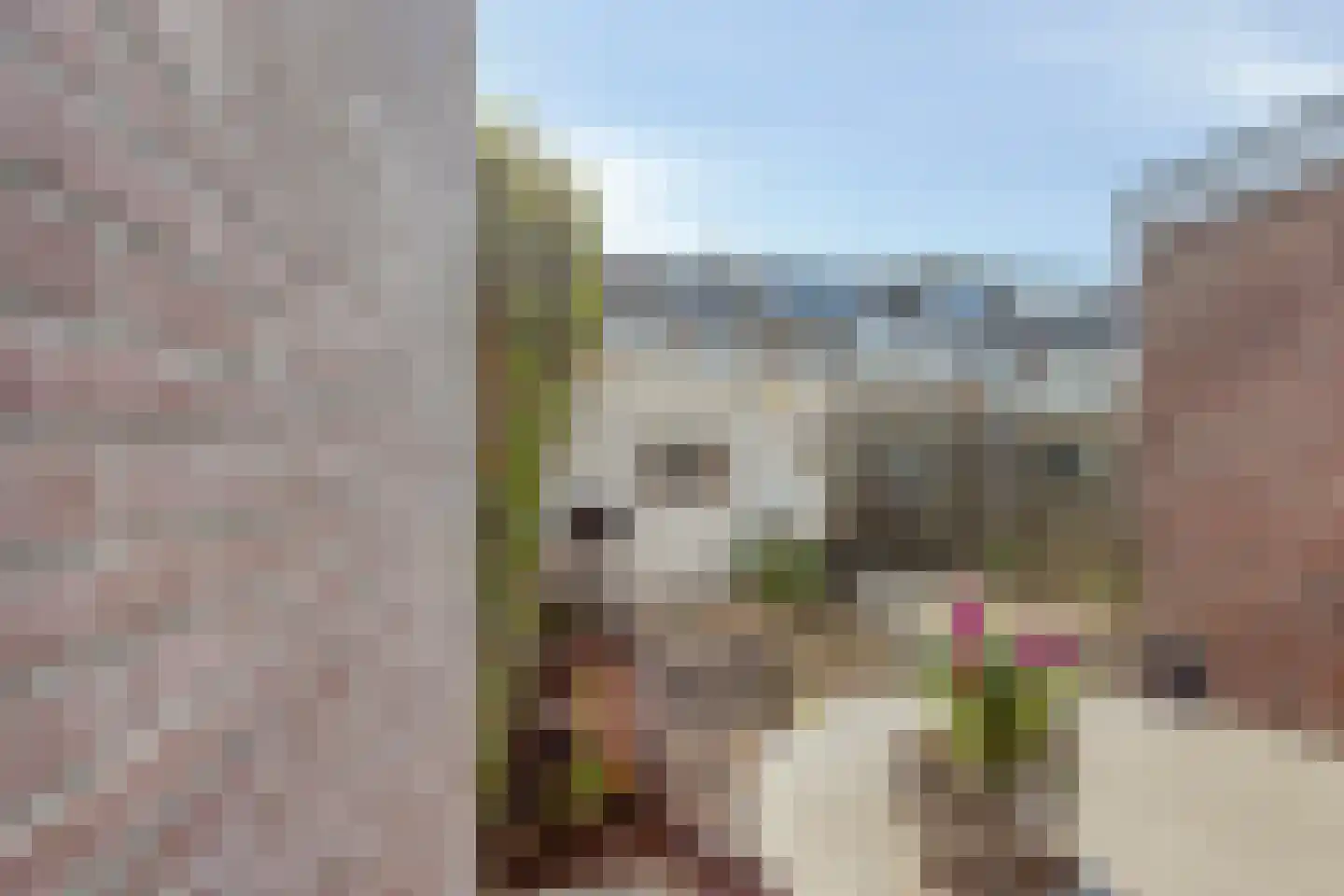 Frans Halsstraat 31 Alkmaar thumbnail 33