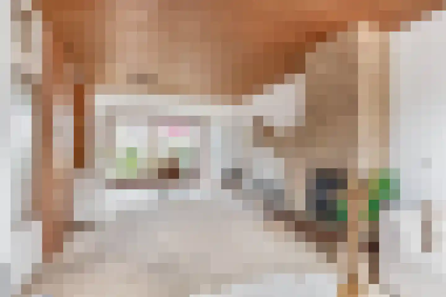 Frans Halsstraat 31 Capelle aan den IJssel thumbnail 11