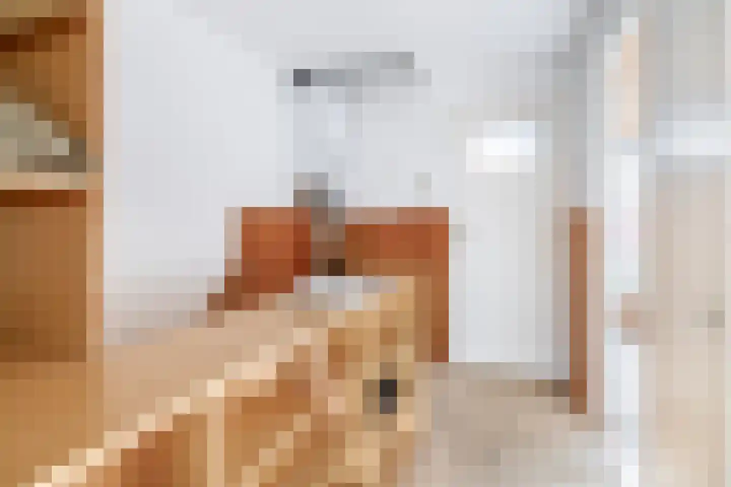 Frans Halsstraat 31 Capelle aan den IJssel thumbnail 22