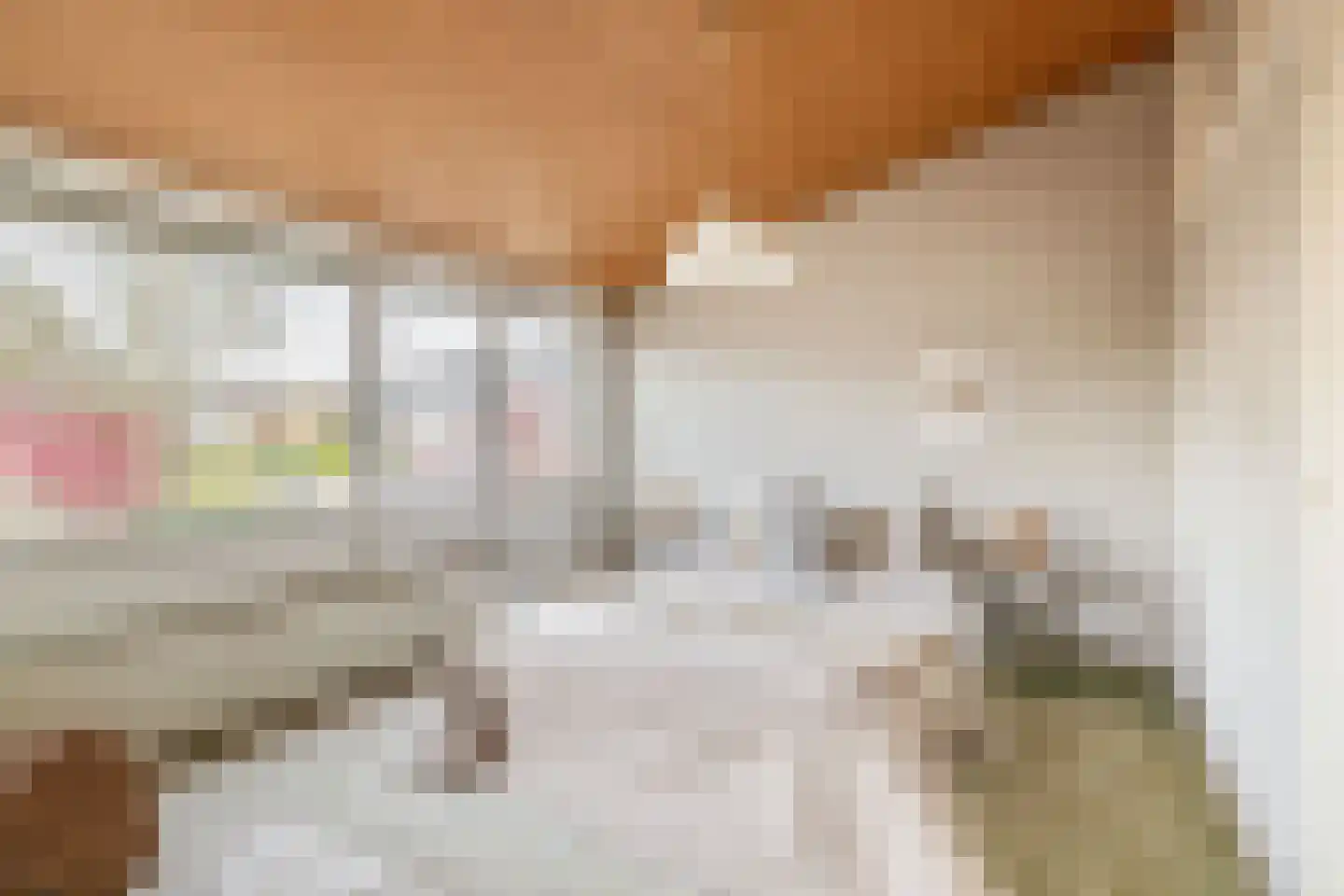 Frans Halsstraat 31 Capelle aan den IJssel thumbnail 23
