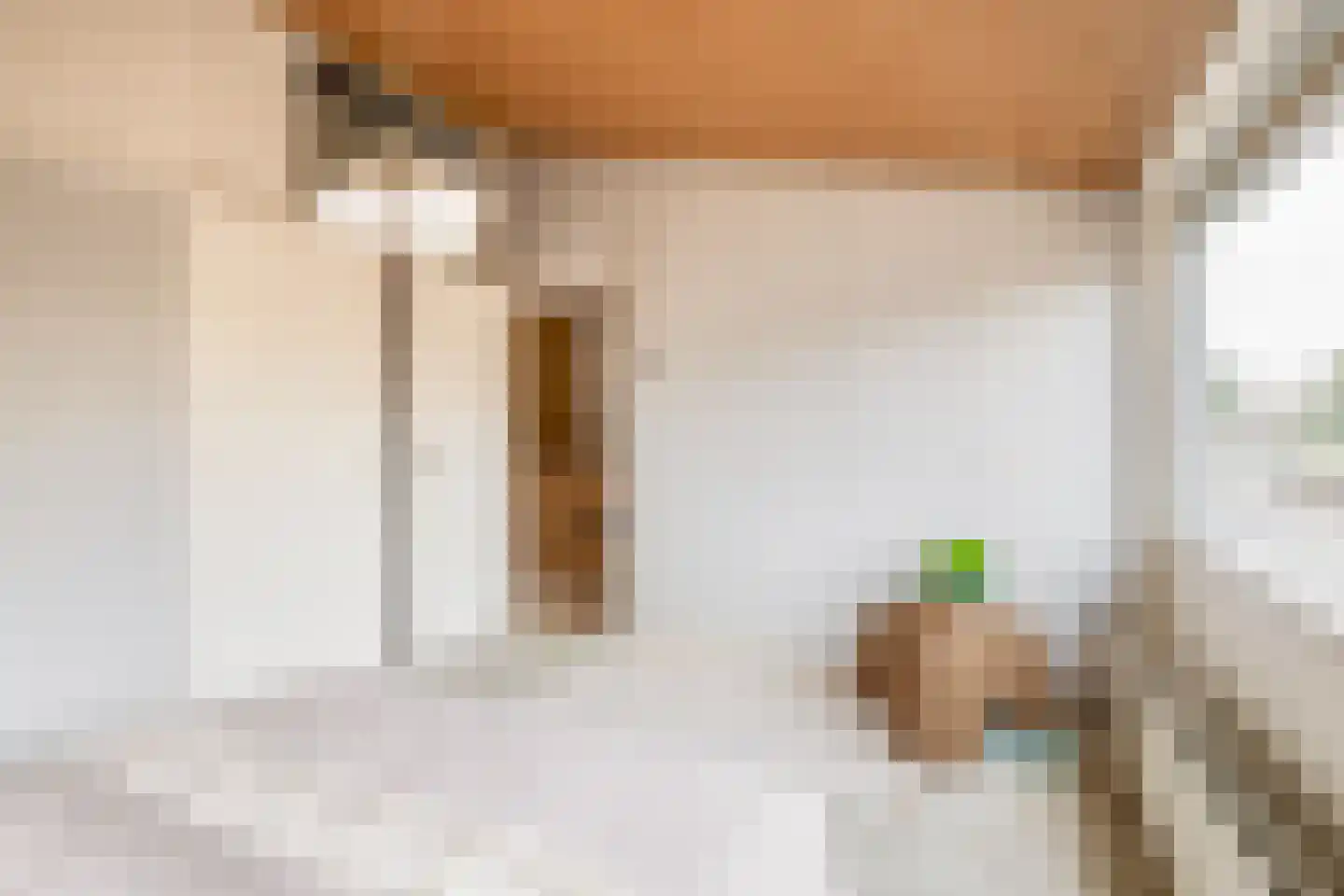 Frans Halsstraat 31 Capelle aan den IJssel thumbnail 24