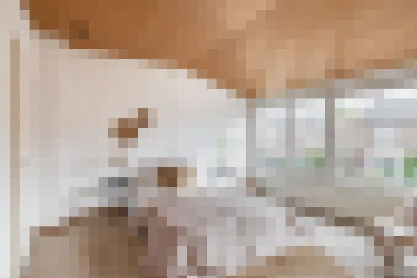 Frans Halsstraat 31 Capelle aan den IJssel thumbnail 29