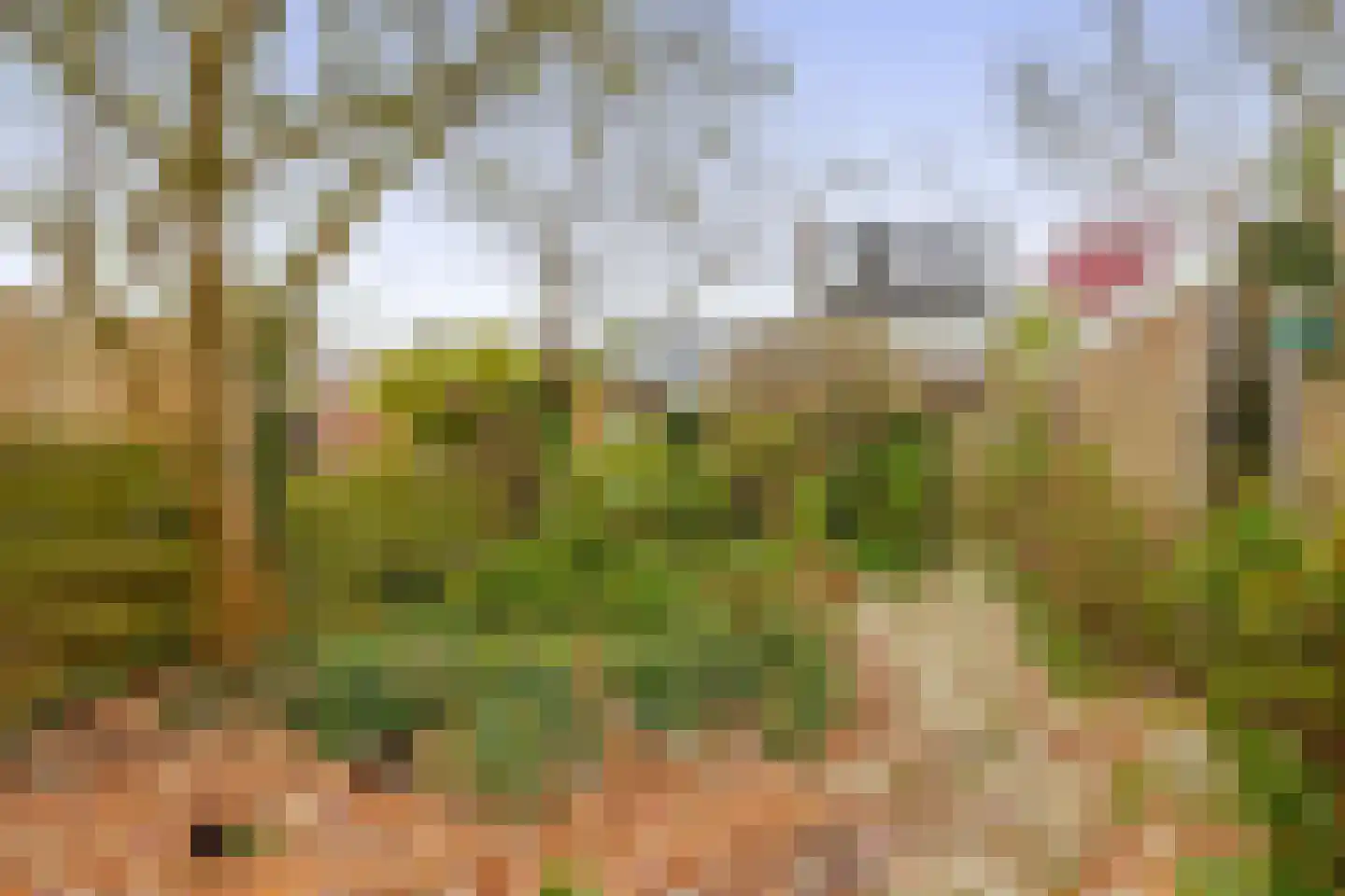 Frans Halsstraat 31 Capelle aan den IJssel thumbnail 33