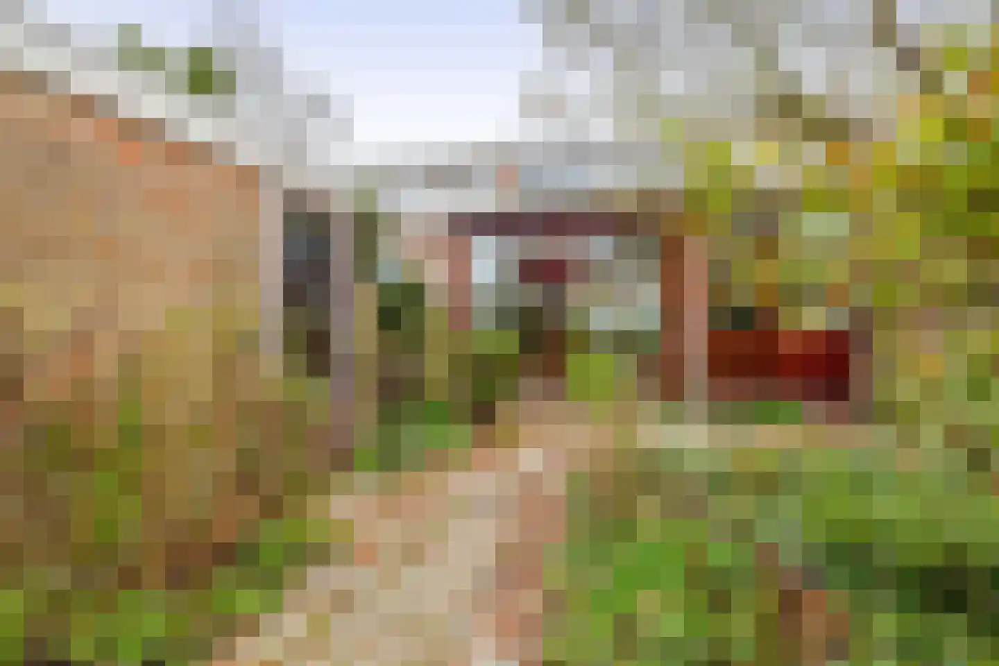 Frans Halsstraat 31 Capelle aan den IJssel thumbnail 35