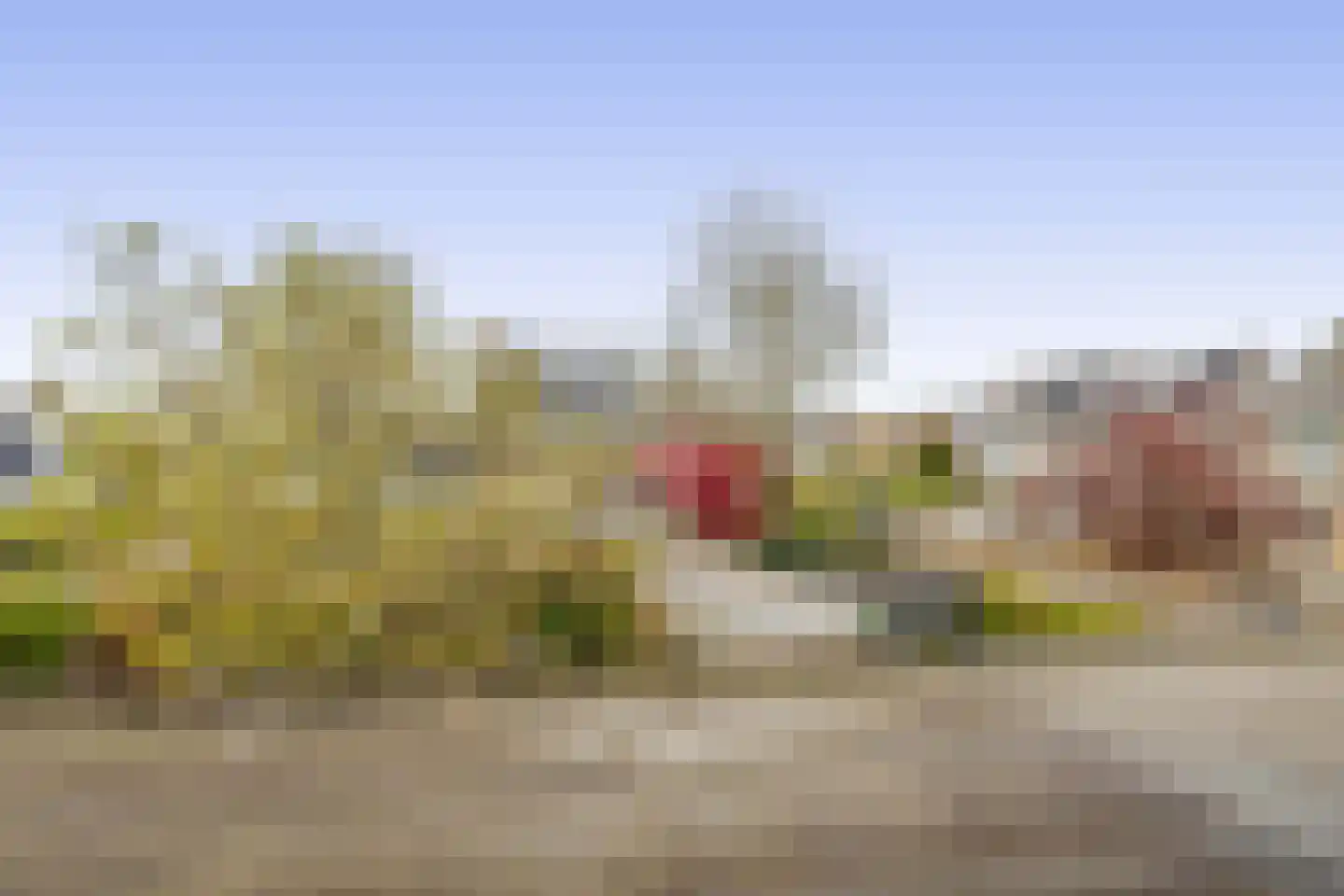 Frans Halsstraat 31 Capelle aan den IJssel thumbnail 36