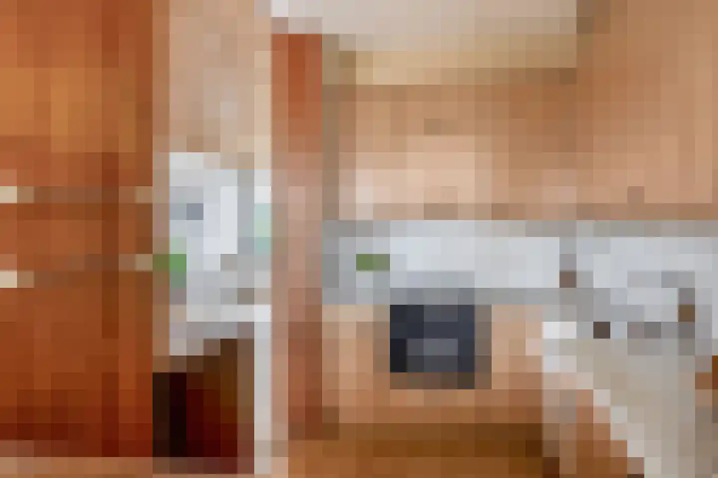 Frans Halsstraat 31 Capelle aan den IJssel thumbnail 4