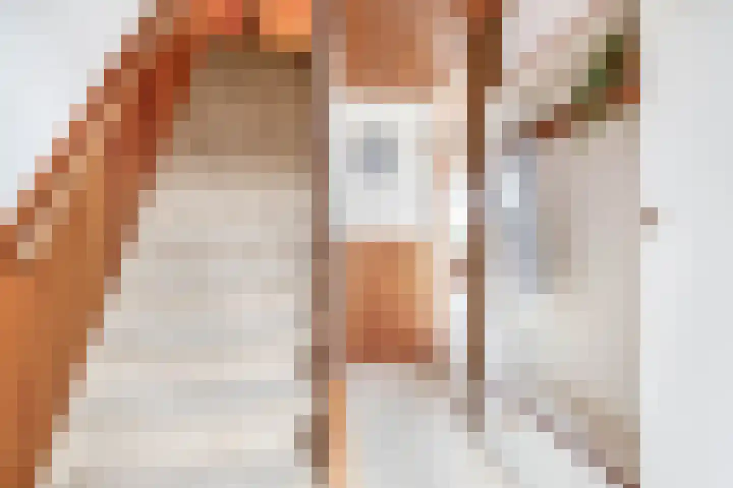 Frans Halsstraat 31 Capelle aan den IJssel thumbnail 7