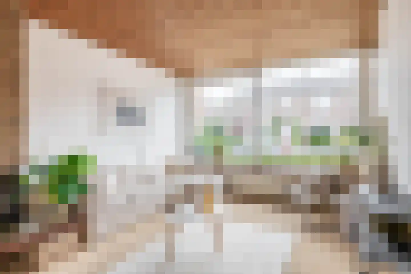 Frans Halsstraat 31 Capelle aan den IJssel thumbnail 9