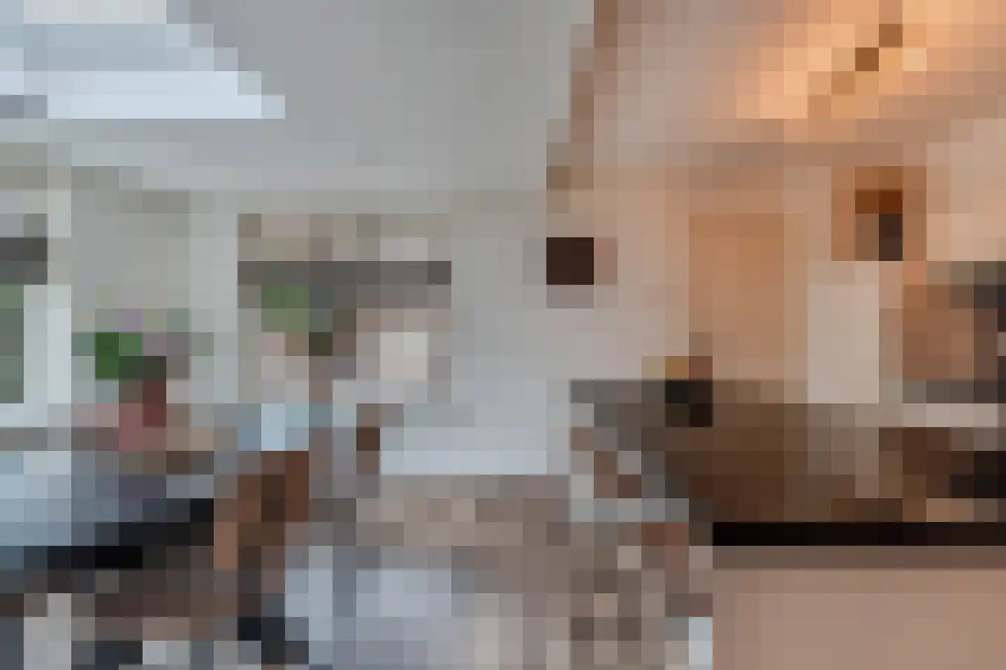 Frans Halsstraat 31 Nietap thumbnail 20